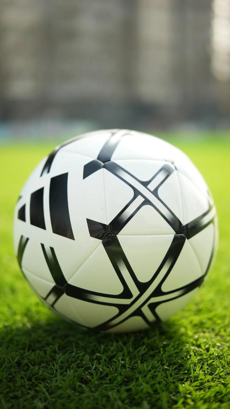 足彩竞彩开奖公告平台展示